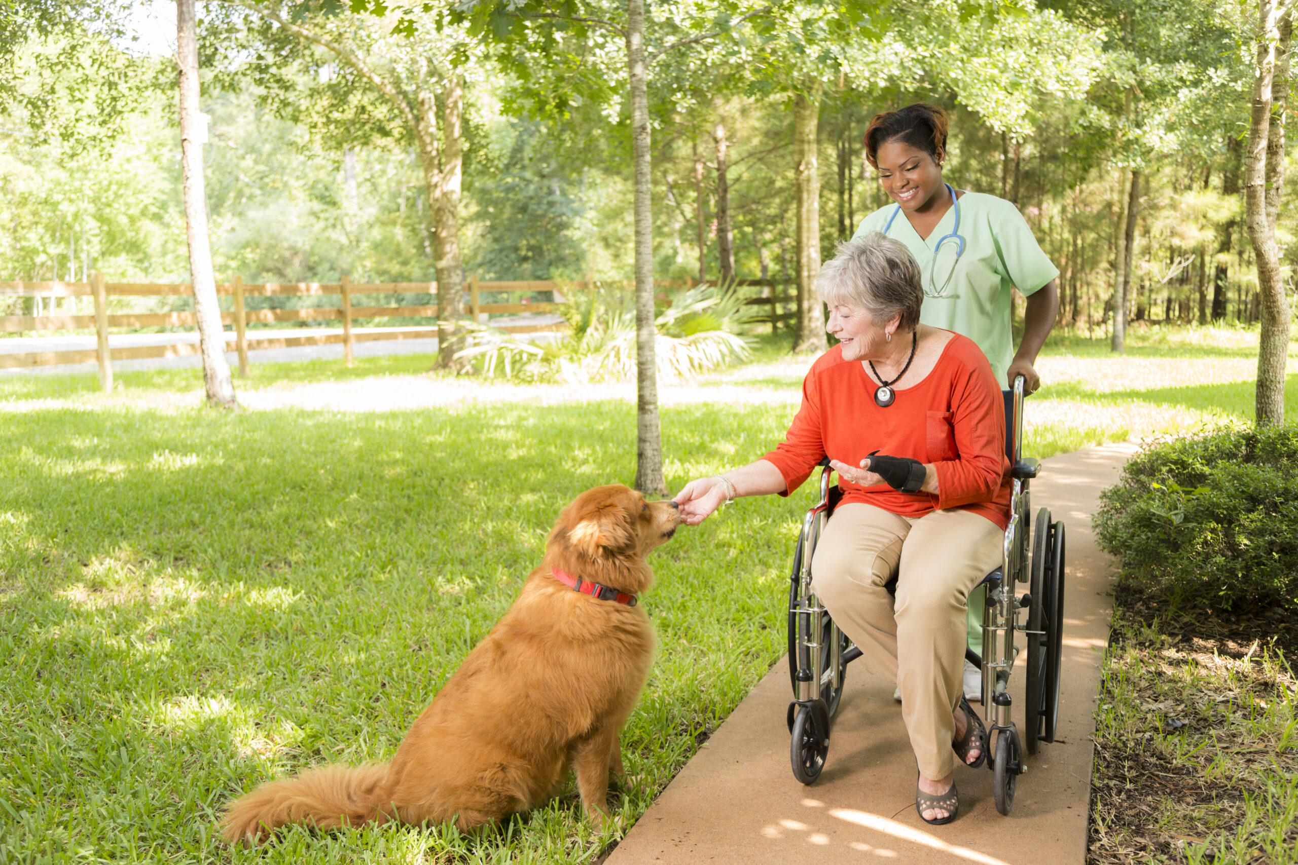 Respite Care